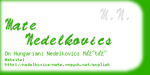 mate nedelkovics business card